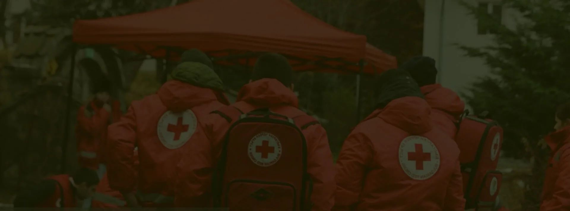 Non Profit Organizations — Nonprofit Bg