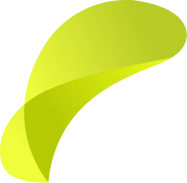 Project management — Project Ic 1